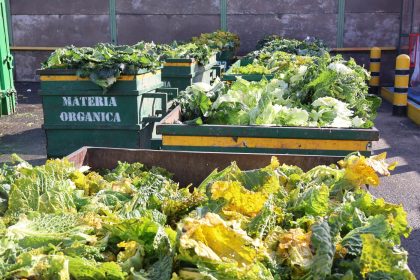 43. Valorización de residuos