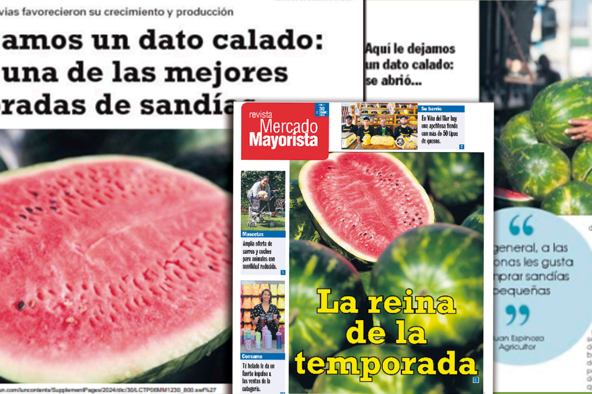 NEWSLETTER-2024-diseno-A-copia-VERDE.png